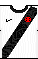 Cores do Vasco