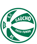 Escudo Gaúcho de Passo Fundo.png