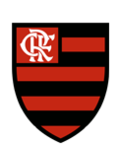 Escola Fla Porto Alegre