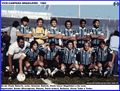 Equipe Grêmio 1982.jpg
