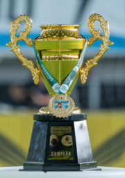 Copa Gramado de Futebol 7 de 2023 - Troféu.png