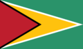 Bandeira da Guiana.png