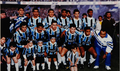 Copa do brasil 1994.png