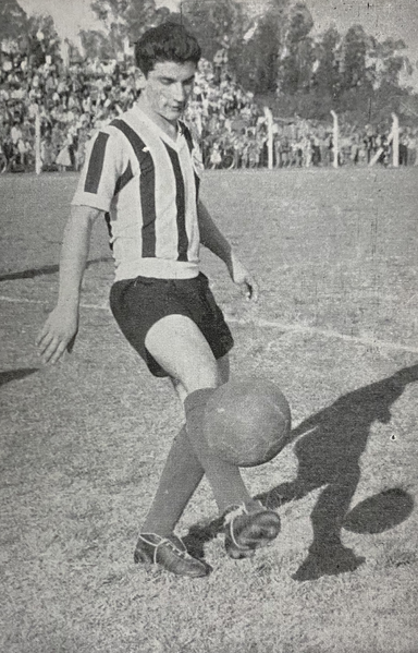 Arquivo:Marciano Vera - foto 01.png